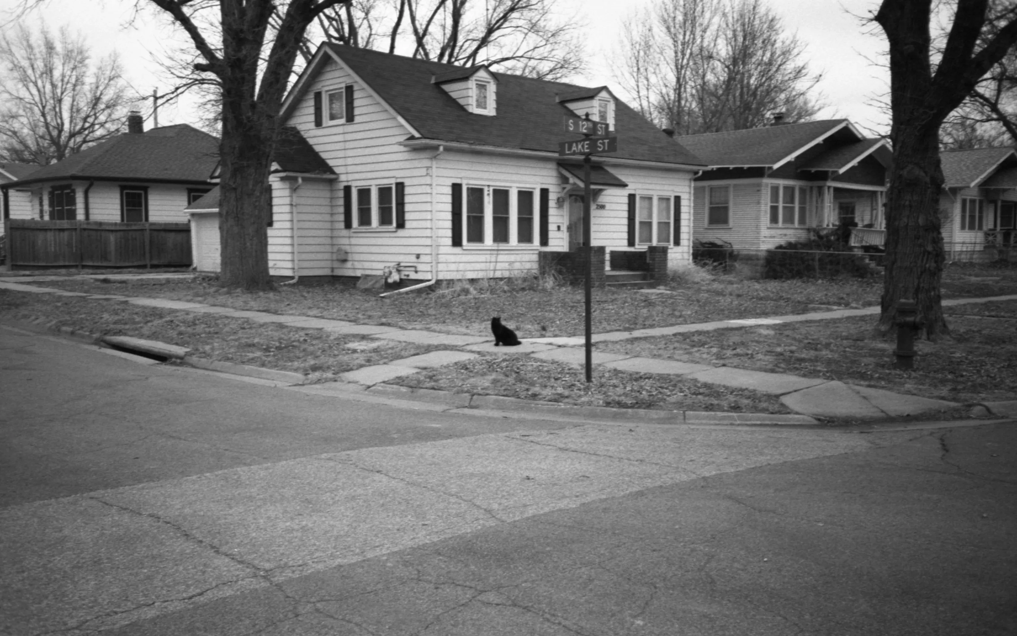 A small house on a quiet street in Nebraska has a black cat sitting on the sidewalk out front.