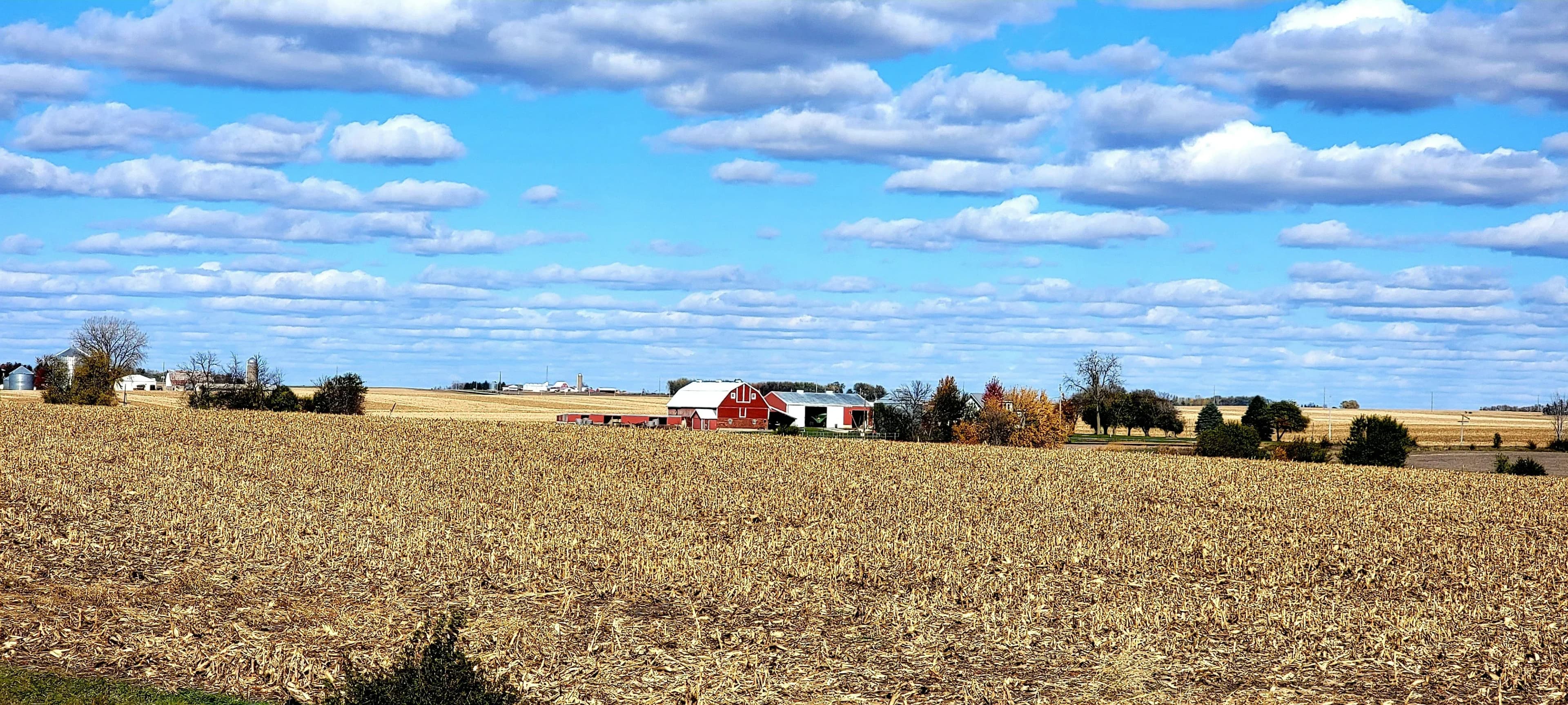 A farmhouse with a barn and several other outbuildings all sit in the middle of a field in Iowa.