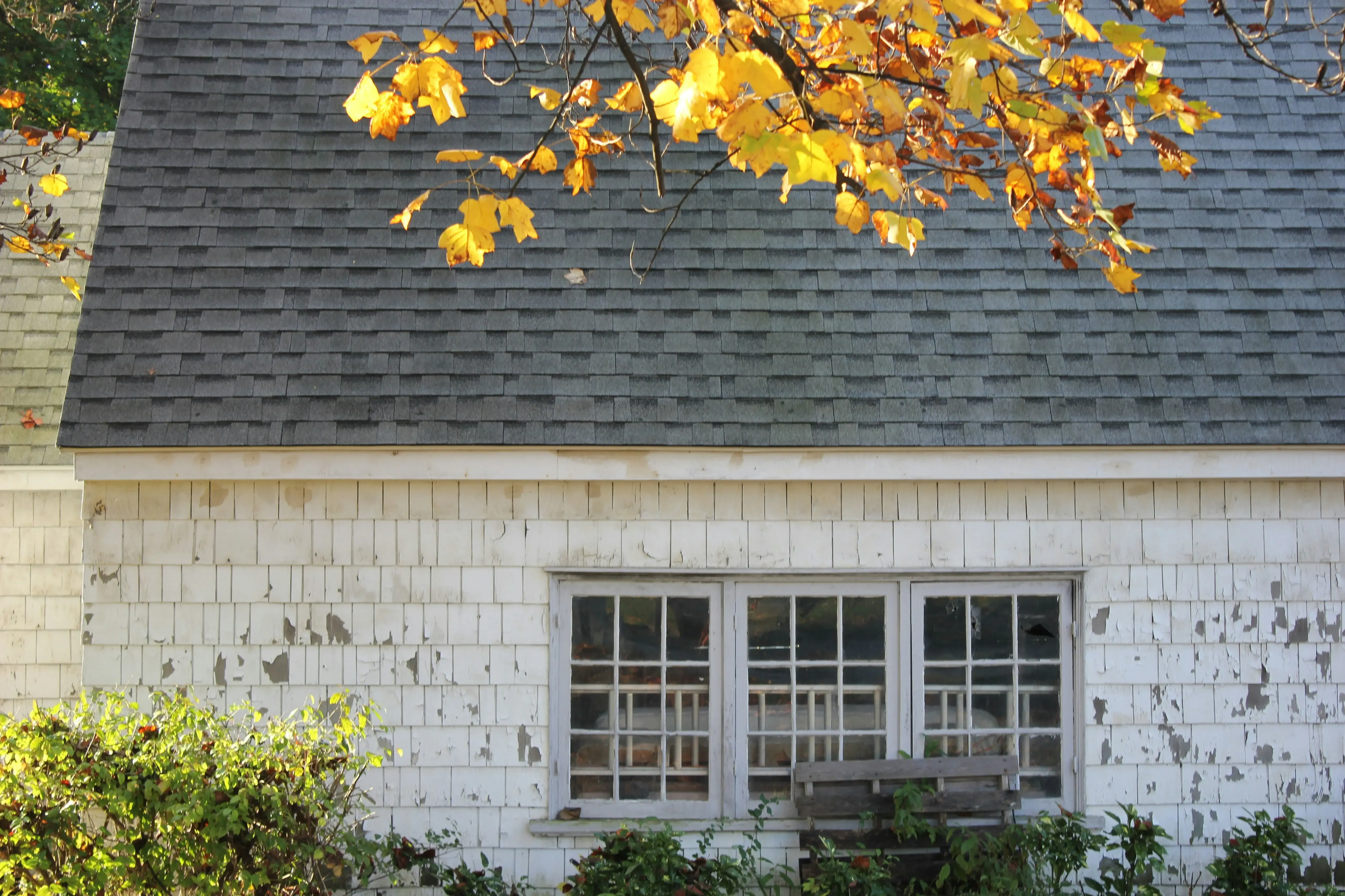 An older home shows some signs of damage to its shingle roof. A tree branch hangs in front of the home.
